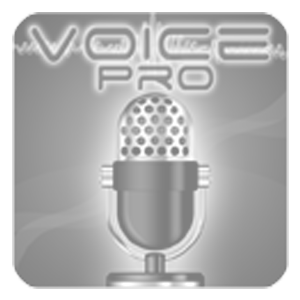 Voice Pro